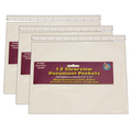 Ashley Productions Clear View Self-Adhesive Document Pocket, 12 Per Pack, PK3 10405